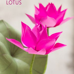 Lotus paper flower, free template and tutorial
