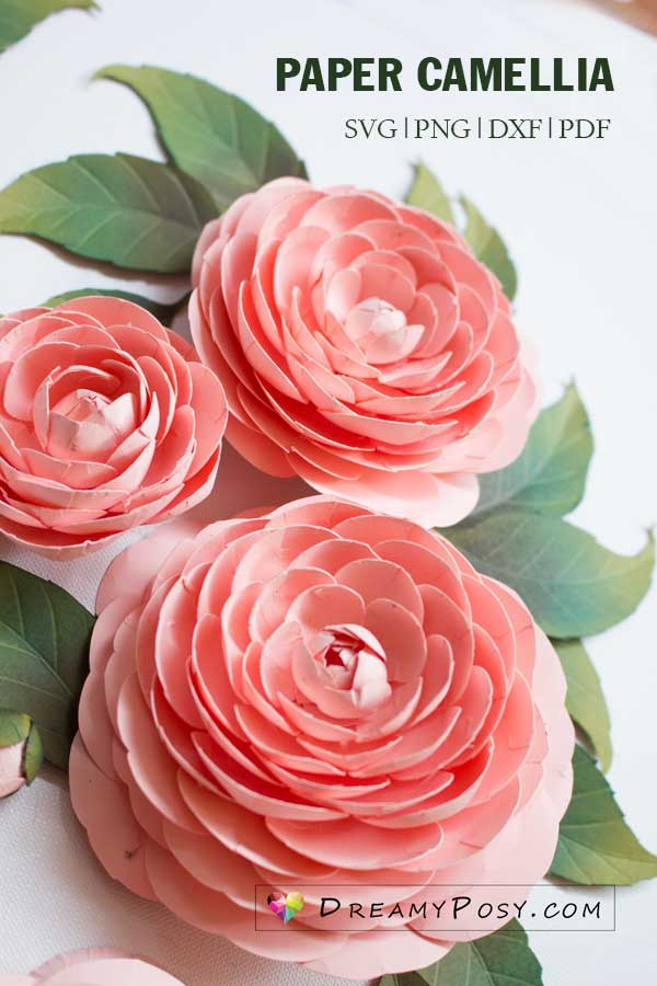 Camellia Paper Flower Tutorial And Template Dreamyposy Templates 3549